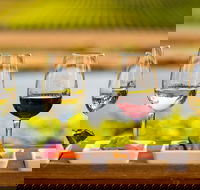 Launceston Private Charter Service - Taree Accommodation