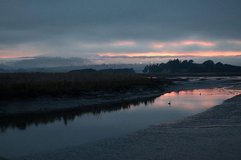 Launceston Private Charter Service - Taree Accommodation 1