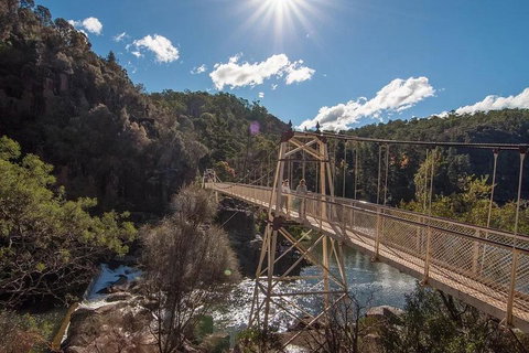 Launceston Private Charter Service - Taree Accommodation 5