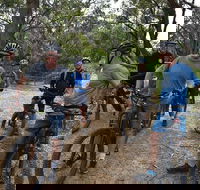 Fully guided E-Mountain Bike Tour on the beautiful Mornington Peninsula. - Taree Accommodation