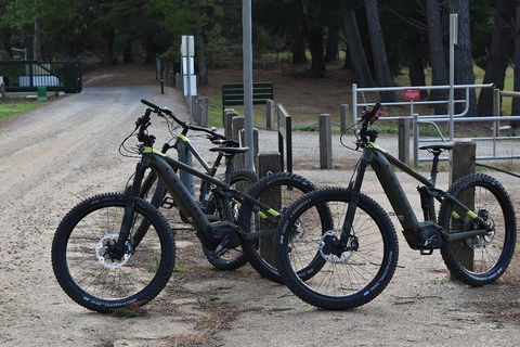 Fully Guided E-Mountain Bike Tour On The Beautiful Mornington Peninsula. - Taree Accommodation 2