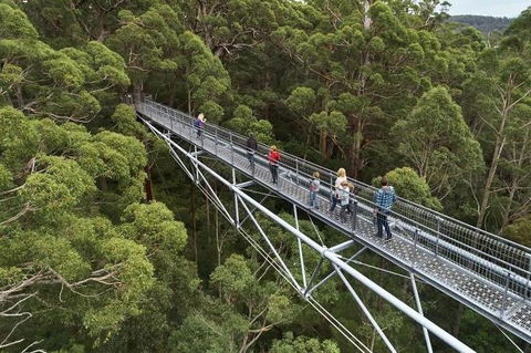 6 Days Perth All-Inclusive Touring Package With Wildflowers ( Seasonal) - Taree Accommodation 3
