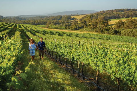 6 Days Perth All-Inclusive Touring Package With Wildflowers ( Seasonal) - Taree Accommodation 4