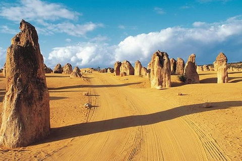 6 Days Perth All-Inclusive Touring Package With Wildflowers ( Seasonal) - Taree Accommodation 5