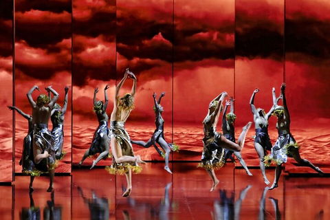 Opera Performance At The Sydney Opera House - Taree Accommodation 5