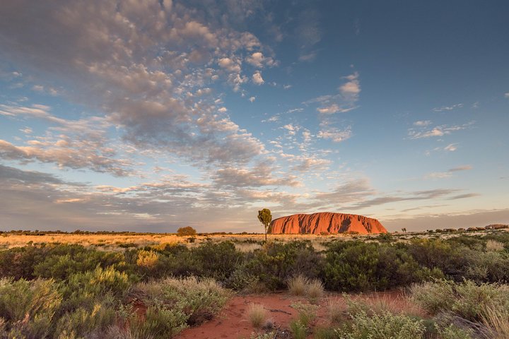Alice Springs NT Taree Accommodation