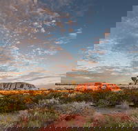 Uluru Kata Tjuta and Kings Canyon Camping Safari from Alice Springs - Taree Accommodation