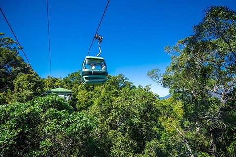 Skyrail Rainforest Cableway Day Trip From Cairns - Taree Accommodation 1