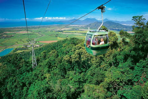 Skip The Line Kuranda Scenic Railway Gold Class And Skyrail Rainforest Cableway - Taree Accommodation 3