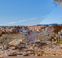 The Amazing Kings Canyon 4-Hours Walking Tour and Hike - Taree Accommodation