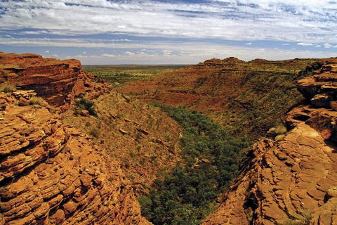 The Amazing Kings Canyon: 4-Hours Walking Tour And Hike - Taree Accommodation 3