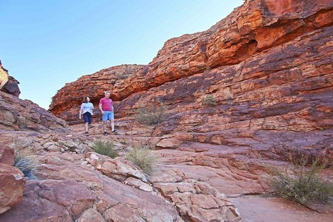 The Amazing Kings Canyon: 4-Hours Walking Tour And Hike - Taree Accommodation 5