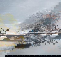 3.5 Hours Walking Tour to Cataract Gorge with Local Guide - Taree Accommodation