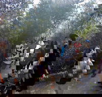 Active Day Tour One-Way from Launceston to Hobart via Wineglass Bay - Taree Accommodation