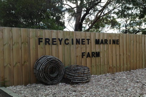 Active Day Tour One-Way From Launceston To Hobart Via Wineglass Bay - Taree Accommodation 3