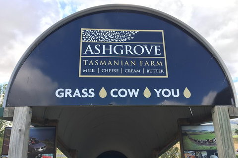 3-Day Tasmania Combo: Launceston To Hobart Active Tour Including Cradle Mountain, Freycinet National Park And Port Arthur - Taree Accommodation 4