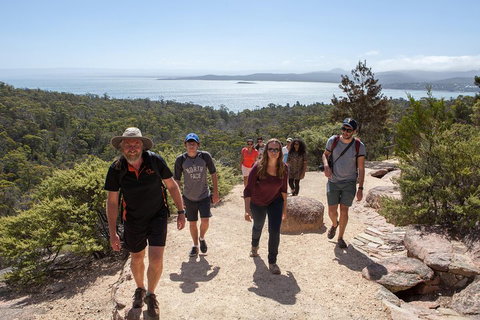 3-Day Tasmania Combo: Launceston To Hobart Active Tour Including Cradle Mountain, Freycinet National Park And Port Arthur - Taree Accommodation 5
