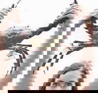 The Ultimate Gold Coast Attractions Pass - Taree Accommodation