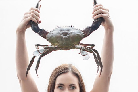 The Ultimate Gold Coast Attractions Pass - Taree Accommodation 0