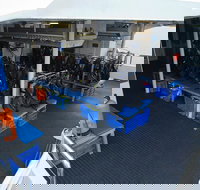 Silverswift Outer Great Barrier Reef Dive and Snorkel Cruise from Cairns - Taree Accommodation