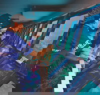 Great Barrier Reef Adventure from Cairns - Taree Accommodation