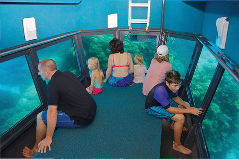 Great Barrier Reef Adventure From Cairns - Taree Accommodation 1