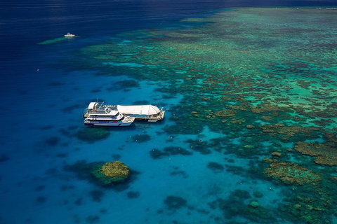 Great Barrier Reef Adventure From Cairns - Taree Accommodation 4