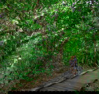 Green Island Eco Adventure from Cairns - Taree Accommodation