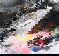 Barron Gorge National Park Half-Day White Water Rafting from Cairns or Port Douglas - Taree Accommodation