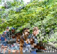 Cape Tribulation Mossman Gorge and Daintree Rainforest Day Trip from Cairns or Port Douglas - Taree Accommodation