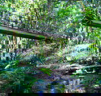 Double Pack-Ancient Rainforest and Waterfalls - Taree Accommodation
