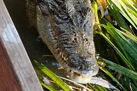 Litchfield Park Adventures And Jumping Crocodile Cruise + Butterfly Farm - Taree Accommodation 1