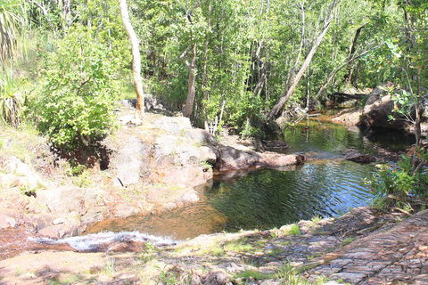 Jumping Crocodile Cruise And Berry Springs Nature Park - Taree Accommodation 3