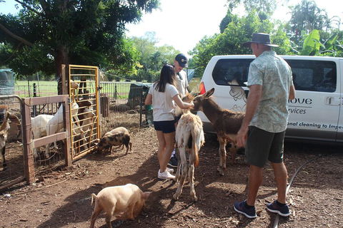 Jumping Crocodile Cruise And Berry Springs Nature Park - Taree Accommodation 4