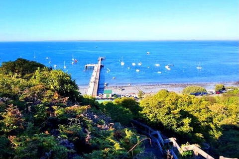 Mornington Peninsula Sightseeing Tour For 2-6 Guests. - Taree Accommodation 1