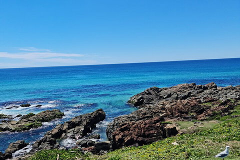 Private Custom Byron Bay Day Out - Taree Accommodation 4