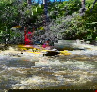 Yarra River Half-Day Rafting Experience - Taree Accommodation