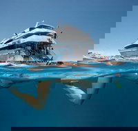 3 Day Great Barrier Reef Daintree Rainforest and Outback Chillagoe Tour - Taree Accommodation