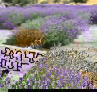 Kangaroo Island Food and Wine Trail Tour - Taree Accommodation