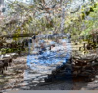 Small-Group Buggy Tour at Little Sahara with Guide - Taree Accommodation
