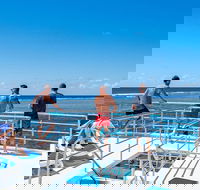 Calypso Outer Great Barrier Reef Cruise from Port Douglas - Taree Accommodation