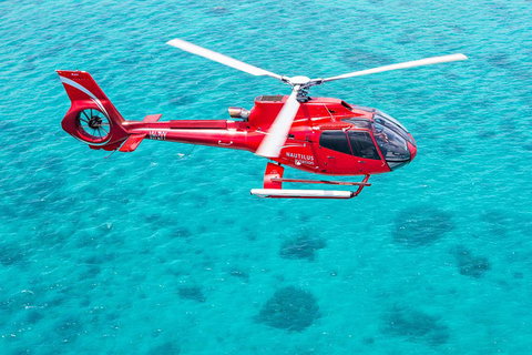 Helicopter And Cruise Packages From Port Douglas - Taree Accommodation 5