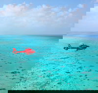 Port Douglas Scenic Flights - Taree Accommodation