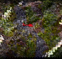 Ultimate Great Barrier Reef and Rainforest 45-minute Helicopter Tour - Taree Accommodation