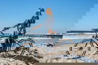 Experience E-bike at Byron Bay