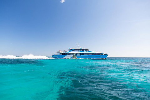Fremantle To Rottnest Island Roundtrip Ferry Ticket - Taree Accommodation 0