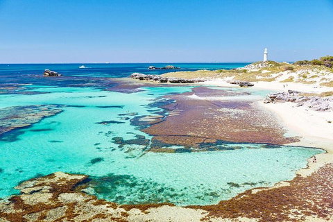 Fremantle To Rottnest Island Roundtrip Ferry Ticket - Taree Accommodation 2
