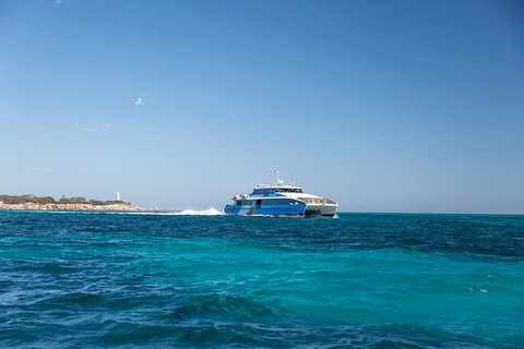 Fremantle To Rottnest Island Roundtrip Ferry Ticket - Taree Accommodation 5