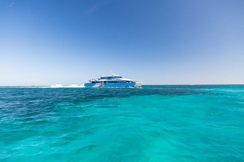 Rottnest Island Bike & Ferry Package From Fremantle - Taree Accommodation 0