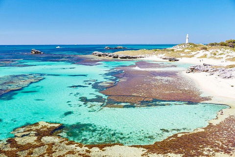 Rottnest Island Bike & Ferry Package From Fremantle - Taree Accommodation 5